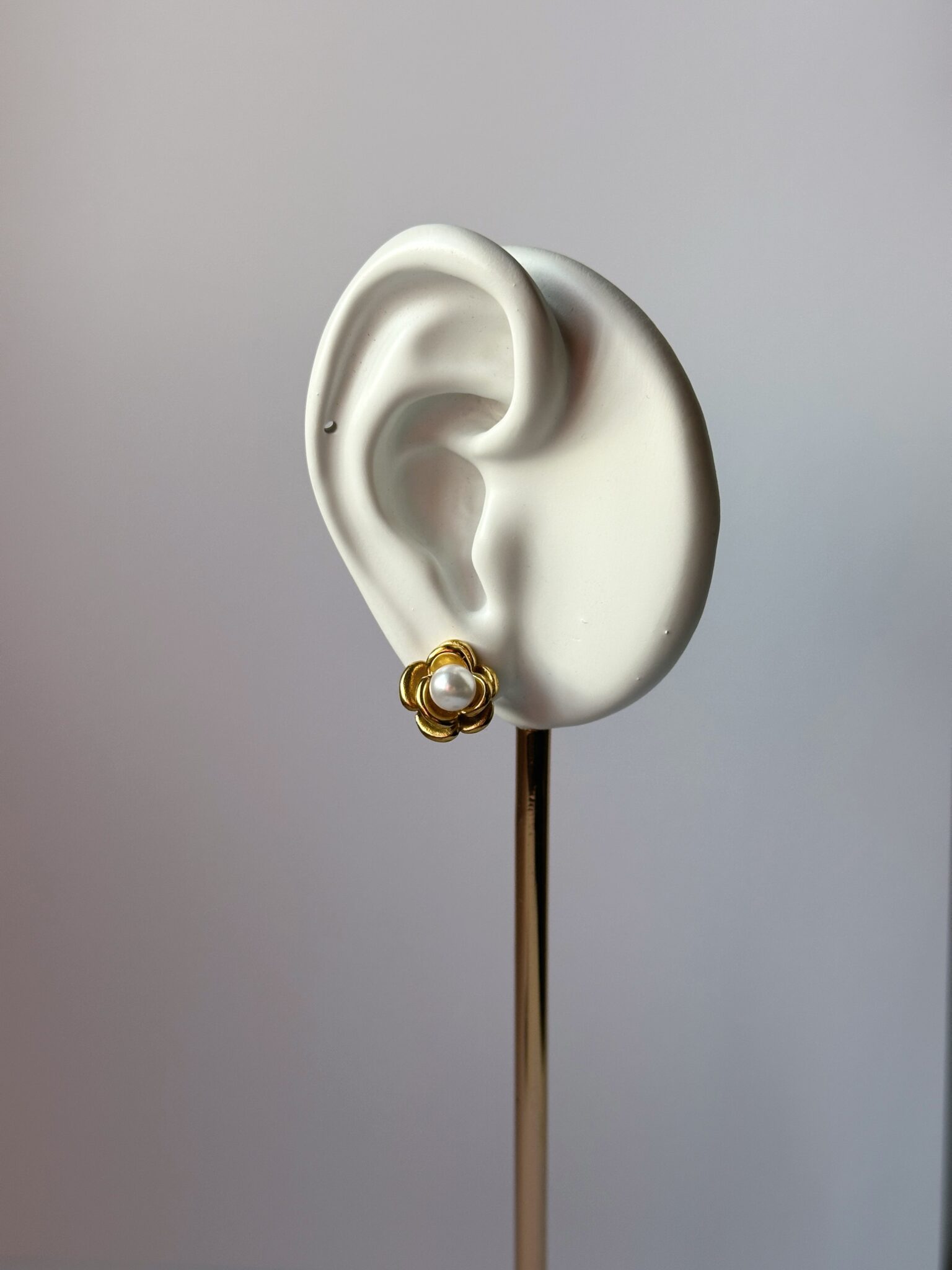 Edited in Tezza with: SONG & Brightness