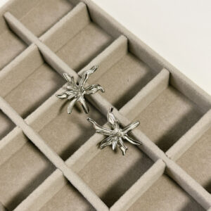 Pendientes Indi plata