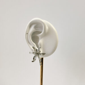 Pendientes Indi plata